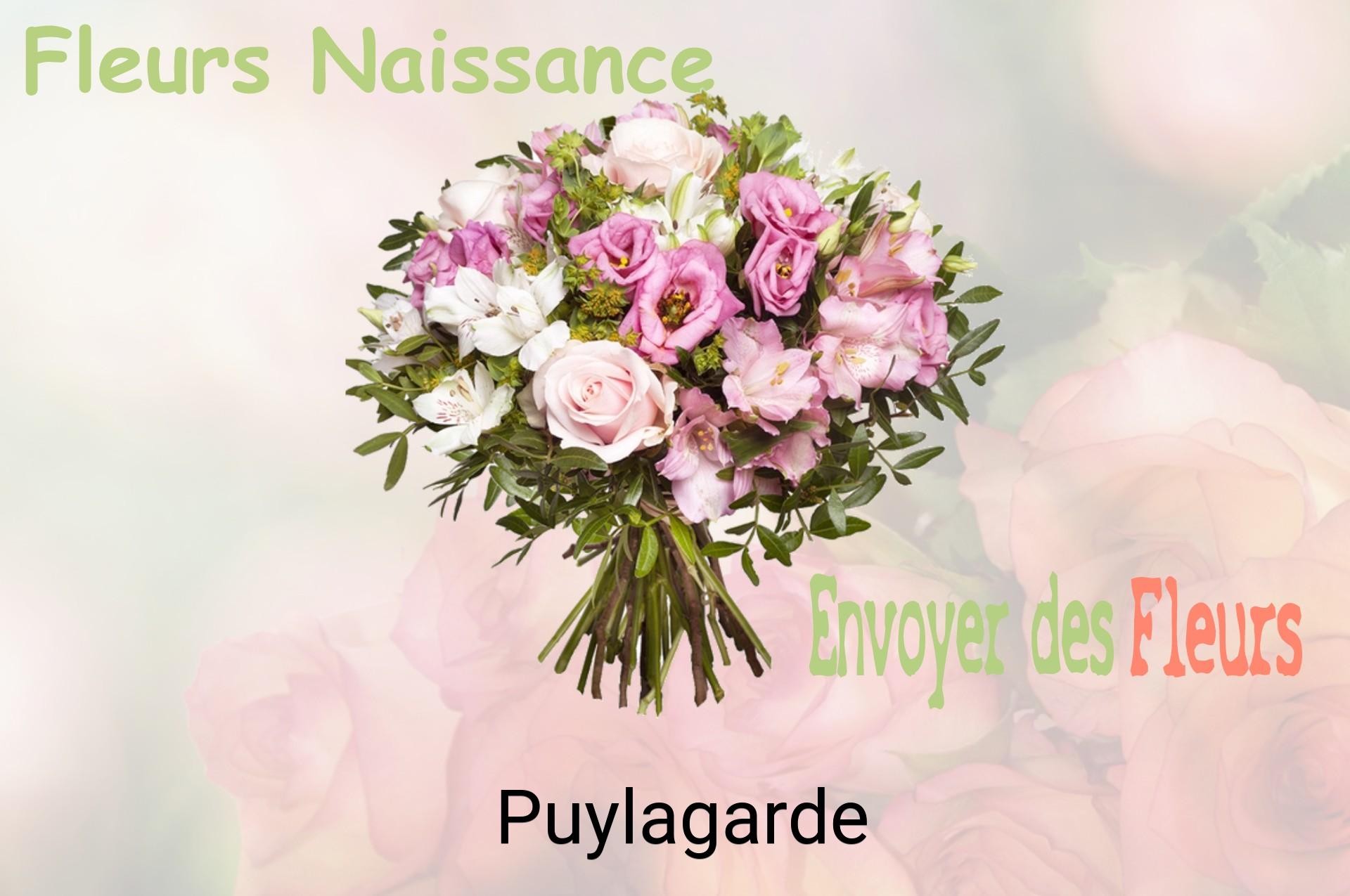Bouquet de fleurs de naissance livré à Puylagarde