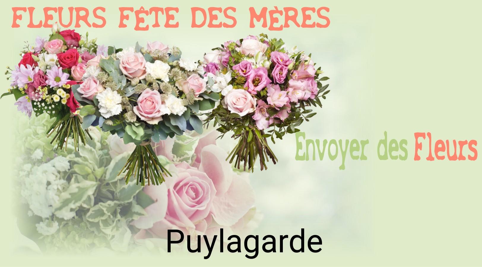 Bouquet de Fête des Mères livré à Puylagarde
